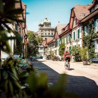Holiday & Seasonal Tours