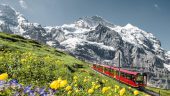 Amazing tour and guide