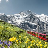 Day Trips & Excursions