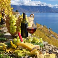 Wine Tasting & Winery Tours